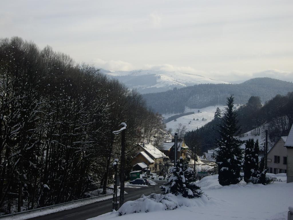 Appartement Vue Sur La Montagne Soultzeren Esterno foto